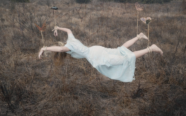 Woman white dress field giraffes free wallpaper - medium preview image