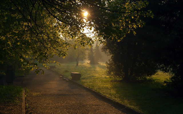 Park path trashcan sunshine trees free wallpaper - medium preview image