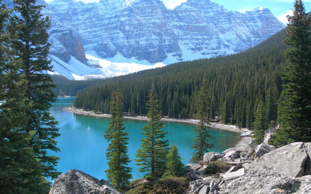 Mountain lake pine snowy mountains free wallpaper - medium preview image