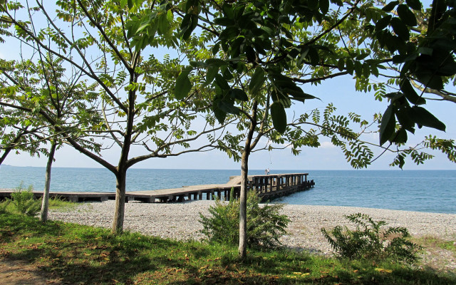 Pier beach ocean trees scenery free wallpaper - medium preview image