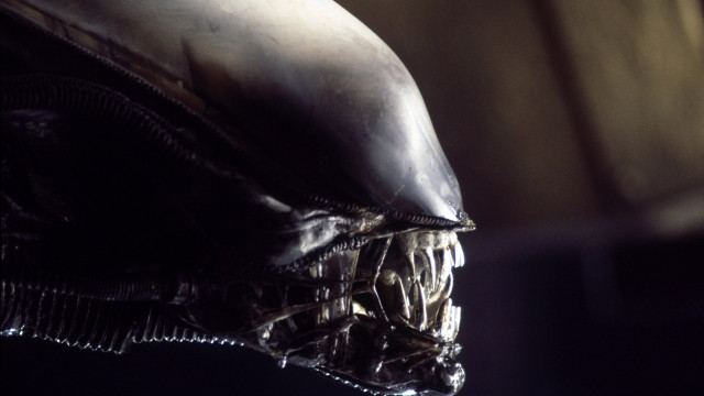 Alien head closeup black background free wallpaper - medium preview image