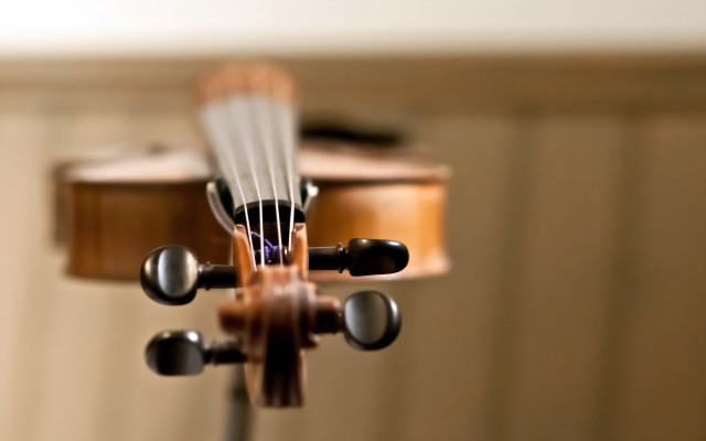 Violin string tilt shift shallow free wallpaper - medium preview image