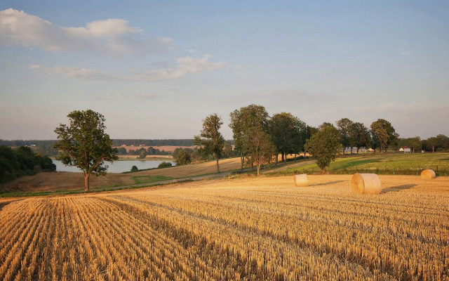 Hayfield lake trees bales forest free wallpaper - medium preview image