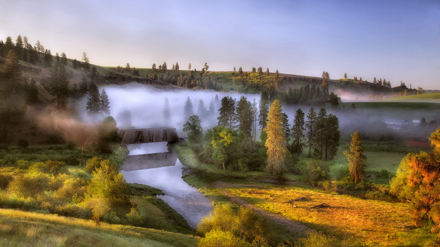 River forest hillside fog matte free wallpaper - medium preview image