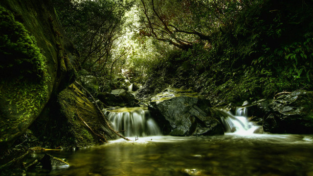 Small waterfall forest mossy rocks free wallpaper - medium preview image