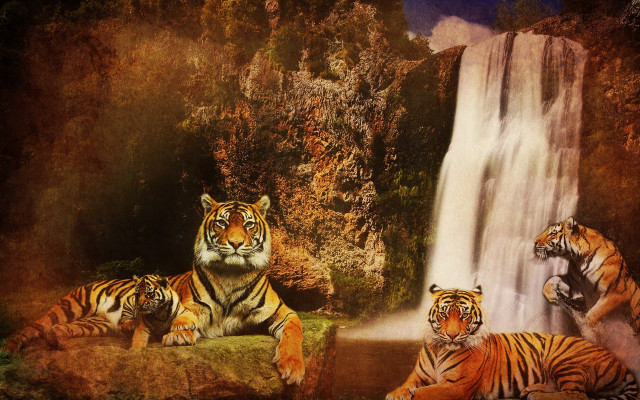 Tiger waterfall pop surrealism matte free wallpaper - medium preview image