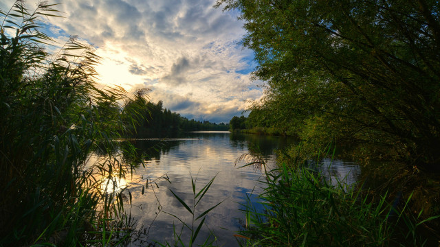River trees clouds bushes nature free wallpaper - medium preview image