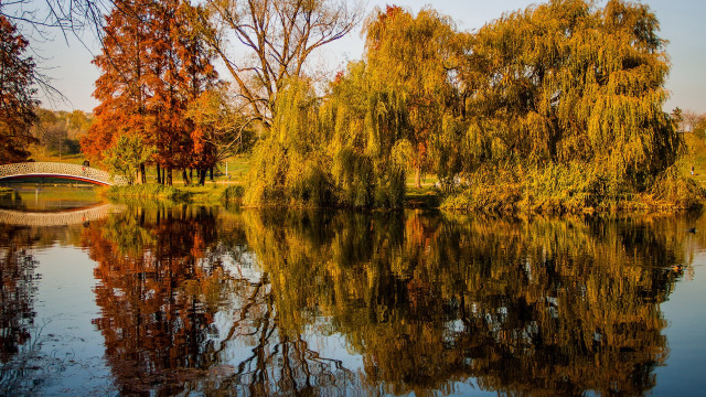 River bridge trees autumn impressionism free wallpaper - medium preview image