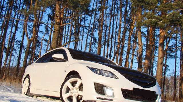 White car snow forest pine free wallpaper - medium preview image