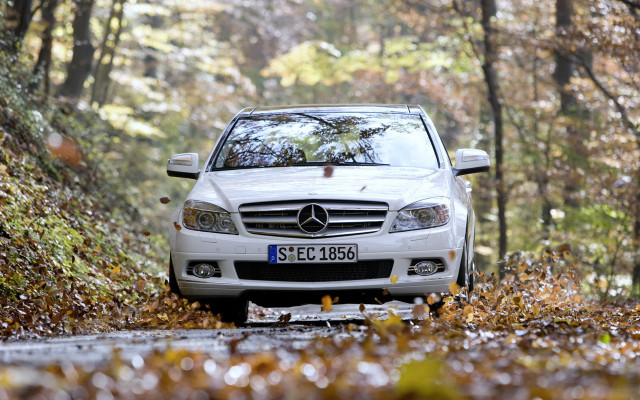 White mercedes autumn leaves blurry free wallpaper - medium preview image