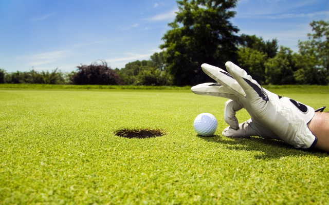 Person laying golf ball glove free wallpaper - medium preview image