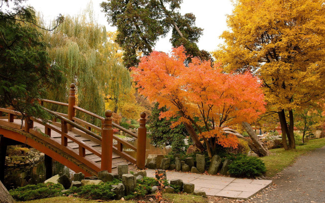 Wooden bridge pond autumn torii free wallpaper - medium preview image