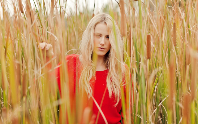 Woman red shirt tall grass free wallpaper - medium preview image