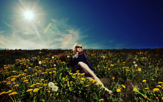 Woman sitting flower field sun free wallpaper - medium preview image