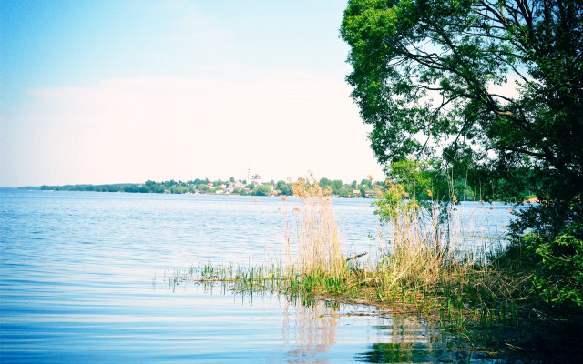 Lake tree sky cloud ecological free wallpaper - medium preview image
