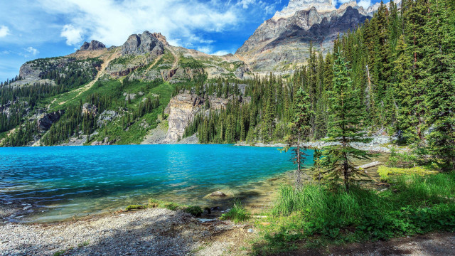 Mountain lake forest blue sky free wallpaper - medium preview image