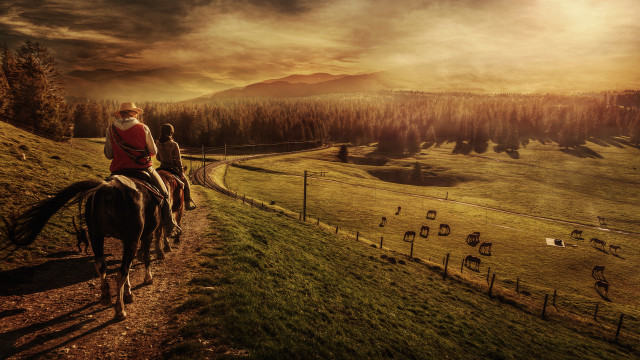 Woman riding horse dirt road free wallpaper - medium preview image