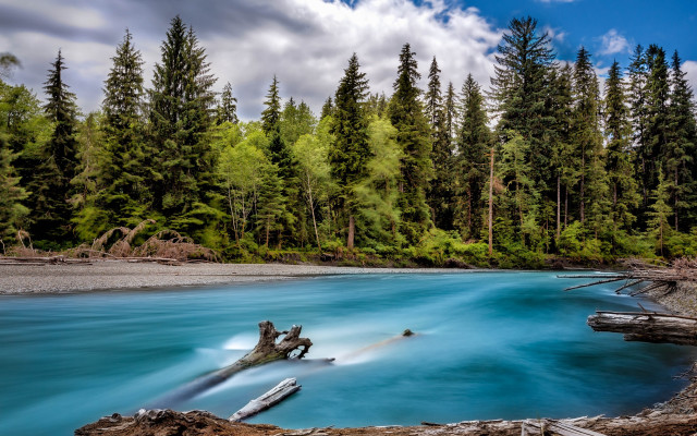 River log trees clouds nature free wallpaper - medium preview image