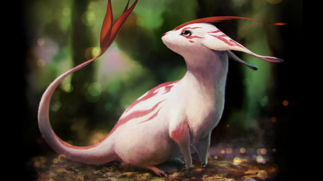 Long tailed bird grass red free wallpaper - medium preview image