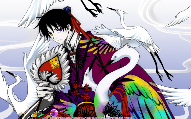 Man bird shoulder rainbow bird free wallpaper - medium preview image