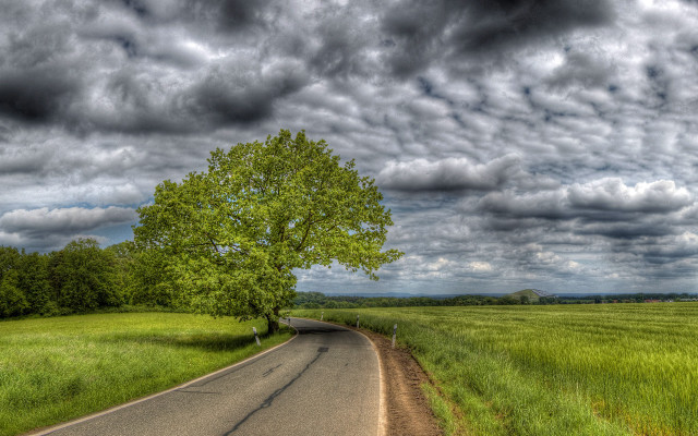 Stormy tree road field cloudy free wallpaper - medium preview image