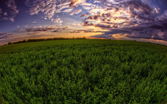 Field sunset clouds trees mountains free wallpaper - medium preview image
