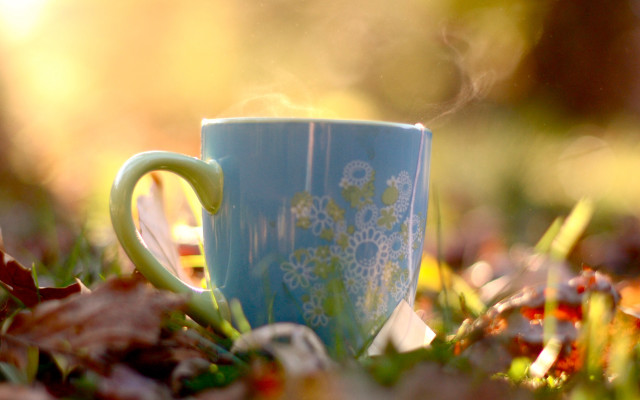 Blue coffee cup autumn bokeh free wallpaper - medium preview image