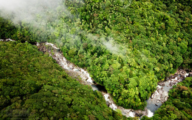 Misty river forest aerial tilt free wallpaper - medium preview image