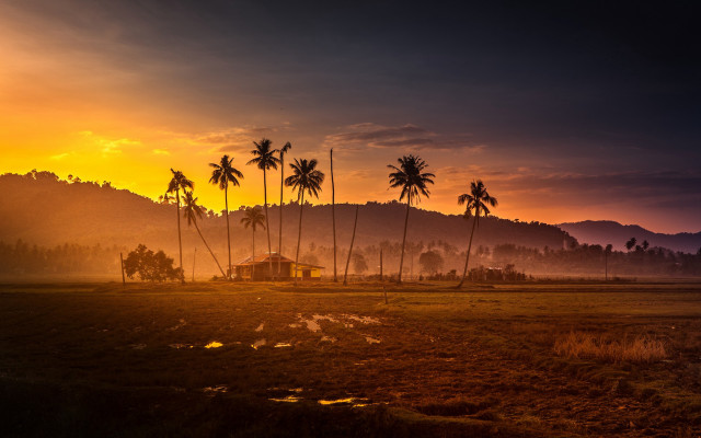 Palm trees house sunset mountains free wallpaper - medium preview image