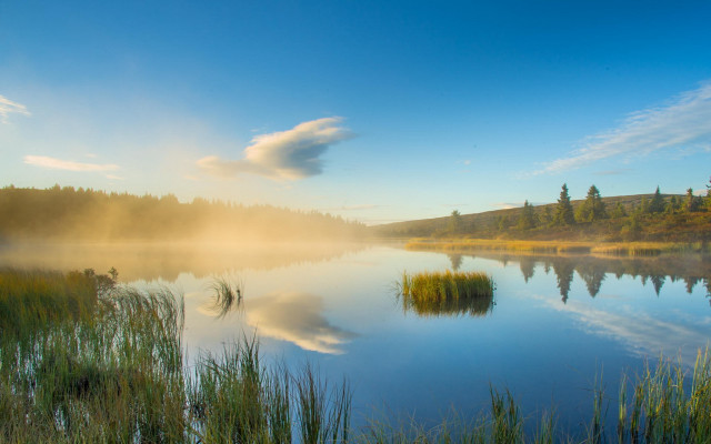 Lake trees grass sky dusk free wallpaper - medium preview image