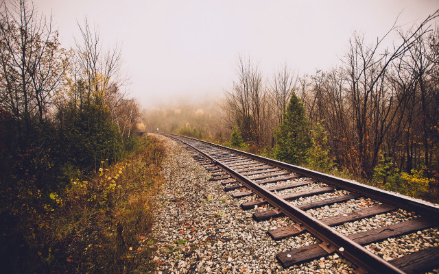 Train track fog trees bench free wallpaper - medium preview image