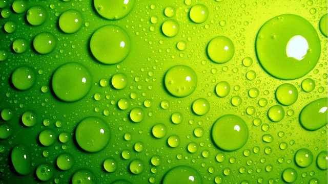 Green background water drops white free wallpaper - medium preview image