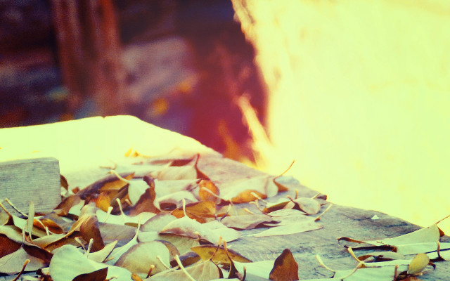 Leaves pile table firehydrant autumn free wallpaper - medium preview image