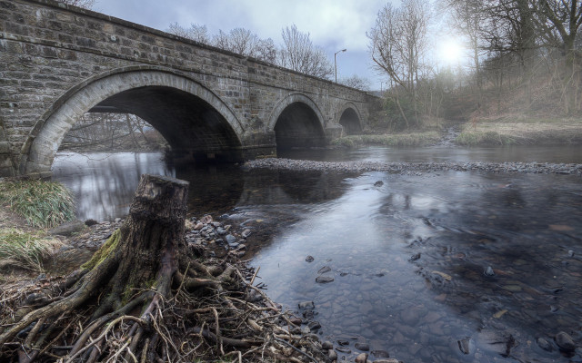 Bridge river tree stump fantasy free wallpaper - medium preview image