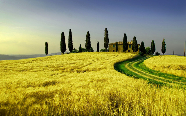 Field house trees sky landscape free wallpaper for desktop - medium preview image