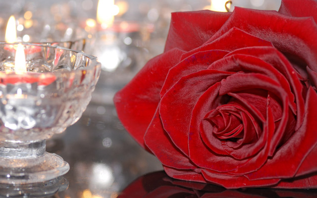 Red rose crystal bowl candles free wallpaper - medium preview image