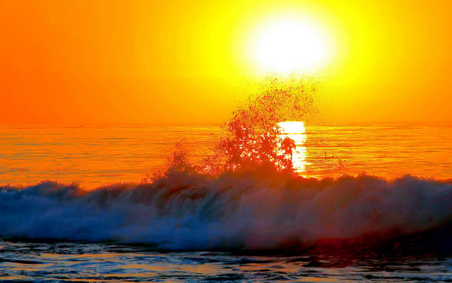 Sunset wave tree yellow sky free wallpaper - medium preview image
