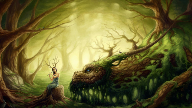 Woman dragon face forest stump free wallpaper - medium preview image