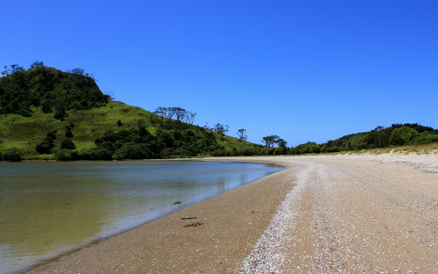 Sandy beach hill water bird free wallpaper - medium preview image