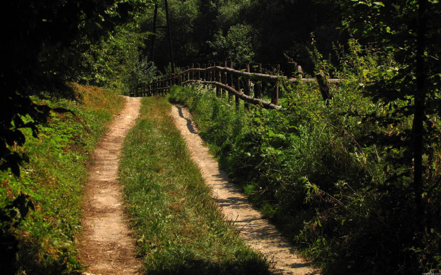 Dirt path wooden bridge forest free wallpaper - medium preview image