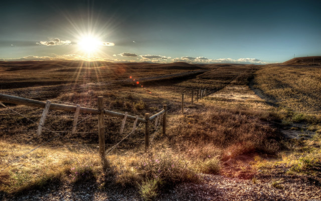Fence field sunshine grass bushes free wallpaper - medium preview image