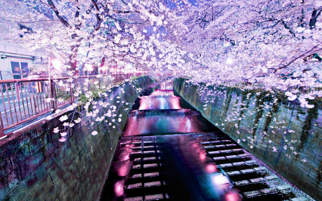 River flowers bridge petals impressionist free wallpaper - medium preview image