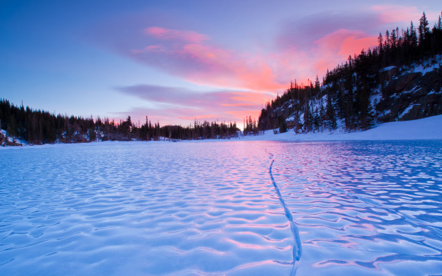 Sunset snowy lake trees pink free wallpaper - medium preview image