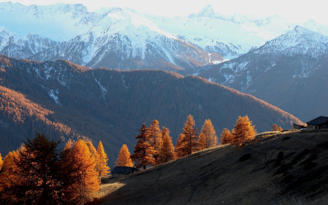 Mountain range forest lake sunset free wallpaper - medium preview image