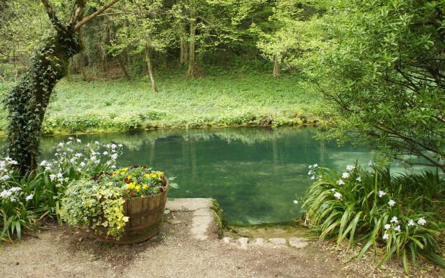 Pond trees flowers stonewalkway bench free wallpaper - medium preview image