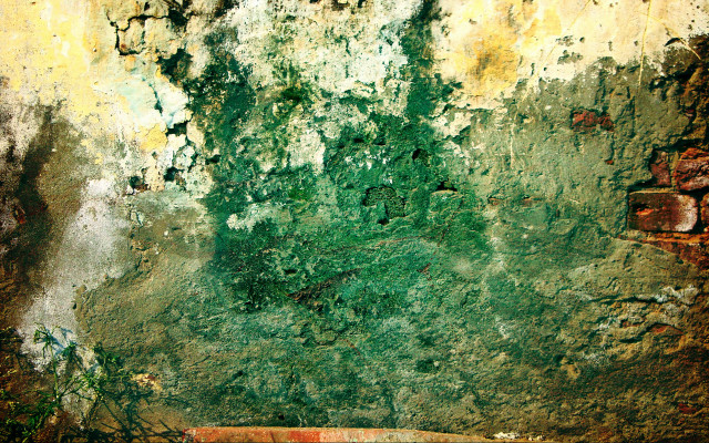 Green yellow wall fire hydrant free wallpaper - medium preview image