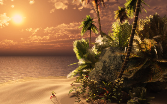 Tropical sunset palm trees ocean free wallpaper - medium preview image