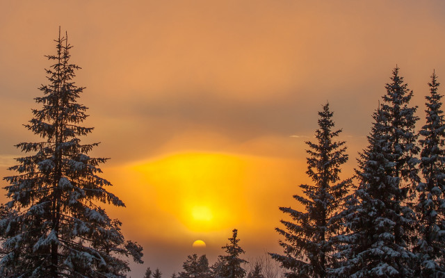 Sunset trees clouds yellow sun free wallpaper for desktop - medium preview image