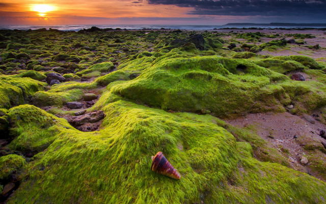 Moss field sunset cloud nature free wallpaper - medium preview image