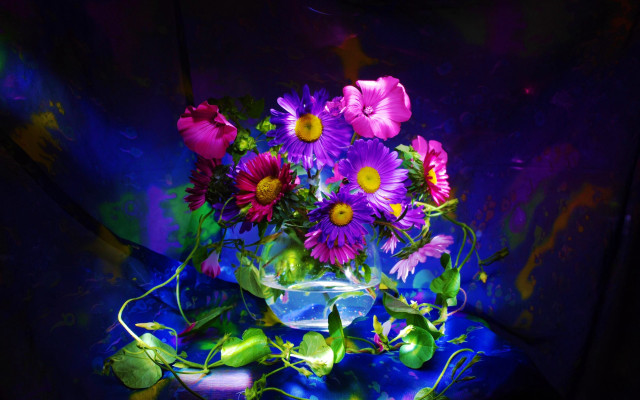 Vase purple yellow flowers tabletop #2 free wallpaper - medium preview image
